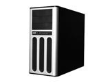 ���I1TS3-4536M(Xeon E3-1230 v2/4GB/500GB)