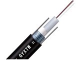 ���Ʊ�������ܿն�ģ4о����(GYXTW-4A)