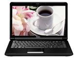 C600G-T3100G10250RLQCJ