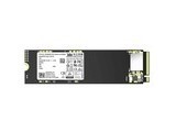 洢PC41Q 2TB