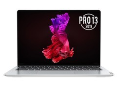 С Pro 13(R5 3550H/16GB/512GB/)