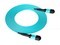 άMPO-MPO8оOM3ģ40G(10M)