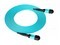 άMPO-MPO12оģOM4 100G(5M)