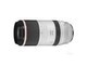  Canon RF 100-500mm f/4.5-7.1 L IS USM