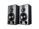  A pair of beautiful sound dj310 speakers